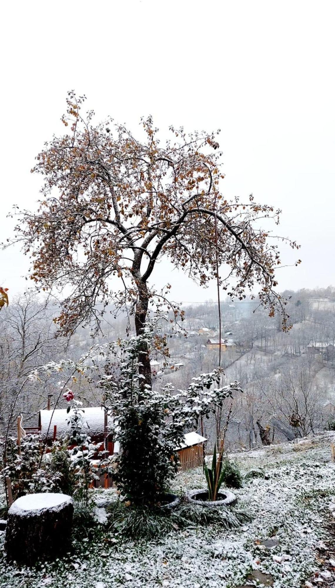 Rubicon Cabins Secaria Dış mekan fotoğraf
